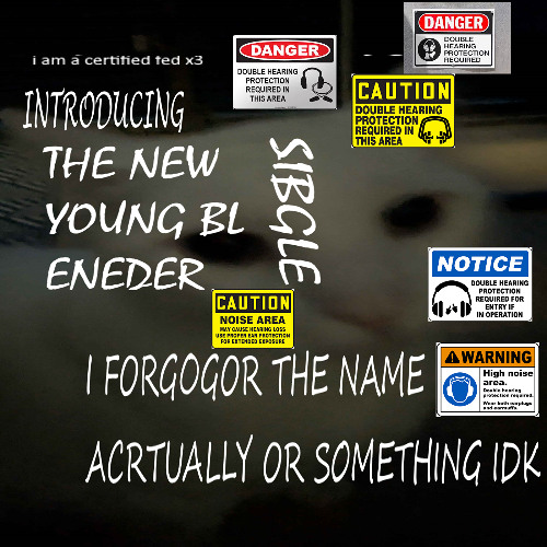 I FORGOGOR THE NAME ACRTUALLY OR SOMETHING IDK