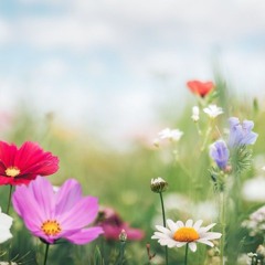 LOVE SPRING TIME.mp3