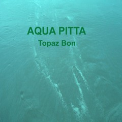 Aqua Pitta