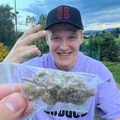 Use Somebodyyyy ✨ (jindra v2.0 cyborgbootleg)