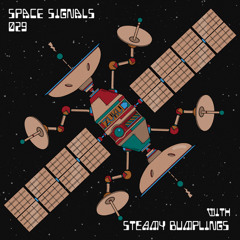 space signals 029 / steamy bumplings