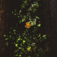 Enivrèz Vous – Teliko