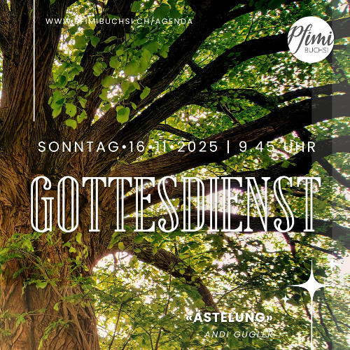 2025.11.16 - Verästelungen