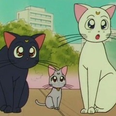 Kurxxed Emeraldz Axxturel (slowed)