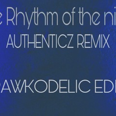 THE RHYTHM OF THE NIGHT (AUTHENTICZ REMIX)(RAWKODELIC EDIT)