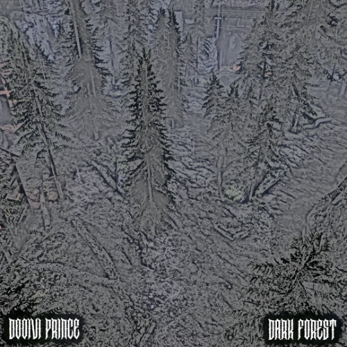 DOOIVI PRINCE - DARK FOREST