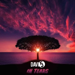 Davi5 - In Tears
