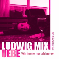 Wie Immer Nur Schlimmer (Remix) - feat. Ludwig Uebe, Olga Wodka