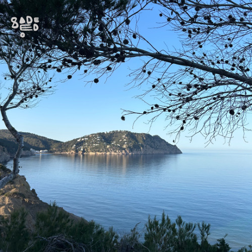 Open Sesame 064 – Sadeedo