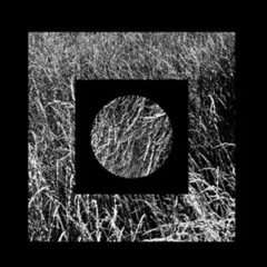 Noises & Atmospheres