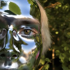 F32L4YM3 — «Narcissus»