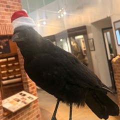 Im str8, idk why but im str8