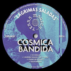 [PREMIERE] Salsa Bandida - Cosmica Bandida | Terra Magica Rec. [2023]