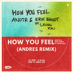 How You Feel - ANOTR, Erik Bandt feat. Leven Kali (ANDRES REMIX)