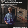 Temple Tears @ Stil Vor Talent 20 Years / Ritter Butzke 2025 DJ mix artwork - Electronic music tracklist cover image