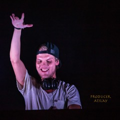 Avici & Fade into Darkness -(Remake Mushup)