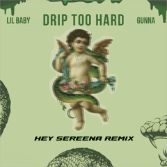 Drip Too Hard x Technician Moser & Sebastian Remix Mashup by Hey Sereena