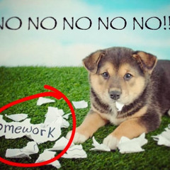 BANG BANG [DESOLATOR]