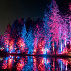 J-Zo Live at Digital Forest (August 2024)