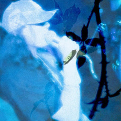 i dont want to see my face [scarletchoir]