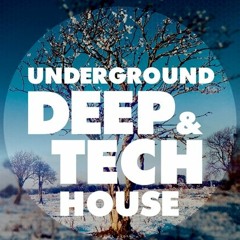 Deep House and Deep Tech House Mix ( February 2021 )