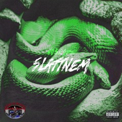slattnem p. mxrtality