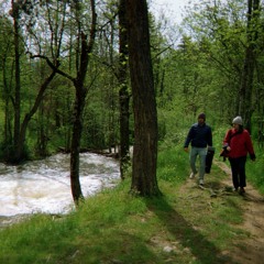 Glenn Tipton - Sun Kil Moon (Trial Take)