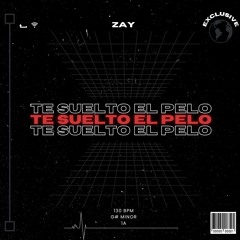 Te Suelto El Pelo (Extended Mix)- Zay