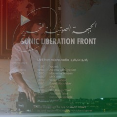Sonic Liberation Front: The Mango Thief