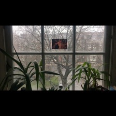 When It Starts To Rain - Summer Shin