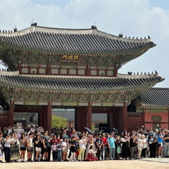Review Special Price Seoul Day Tour Gyeongbokgung Palace N Seoul Tower Insadong