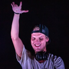 AVICII ULTRA MUSIC FESTIVAL 2015 Live (No Voice Watermark)