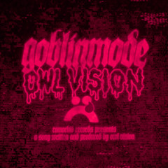 Owl Vision - GOBLINMODE