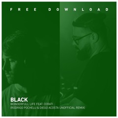 FREE DOWNLOAD: Black - Wonderfull Life ft Cerati (Rodrigo Pochelu & Diego Acosta Unofficial Remix)