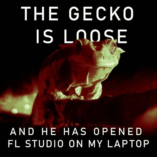 The Gecko Is Loose (And He Has Opened FL Studio On My Laptop)