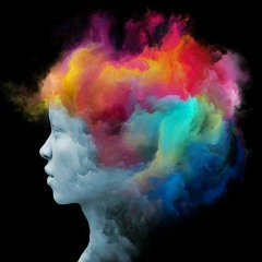 Sh*t Crazy S1A1 x C'est La Vie