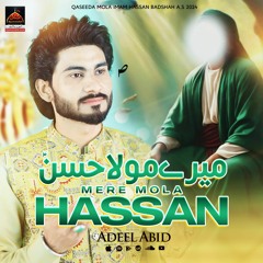 Mere Mola Hassan | Adeel Abid | 2024 | New Qasida Mola Hassan As