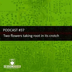 SESSIONDIGGER PODCAST #37 - Two flowers taking root in its crotch