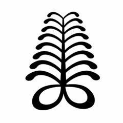 fern
