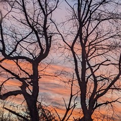 Stabbing At The Light