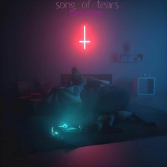 song of tears (feat.arygap)