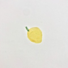 Mango - Tống Cẩm Vũ