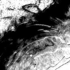 Chris Lake, Skrillex & Anita B Queen - La Noche (Benjamin Wylie Remix)