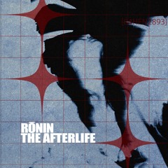 THE AFTERLIFE
