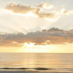 ✨All Star Traxx✨