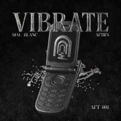 VIBRATE  (Radio Edit)