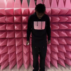 Easter Pink (Prod Suzy Sheer)
