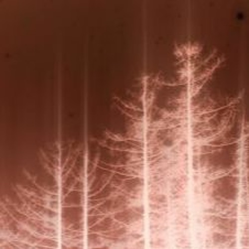 New Bamboo Shoots-naviarhaiku511 (bleepy flute version)