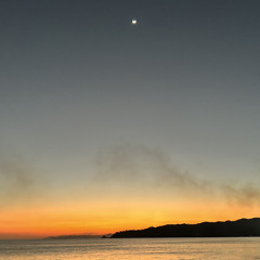 Oli Vez @ Selina, Playa Venao - February 2024