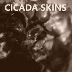 Blanche by CICADA SKINS (noise chan son française ambiance suintante)